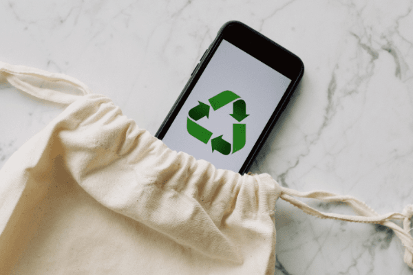 Send Wish Online eco friendly