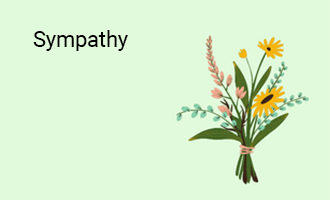 Sympathy group greeting cards
