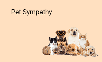 Pet Sympathy group greeting cards