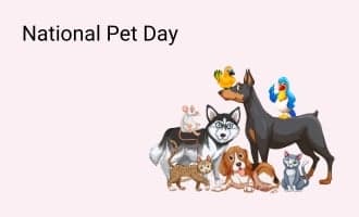National Pet Day group greeting cards