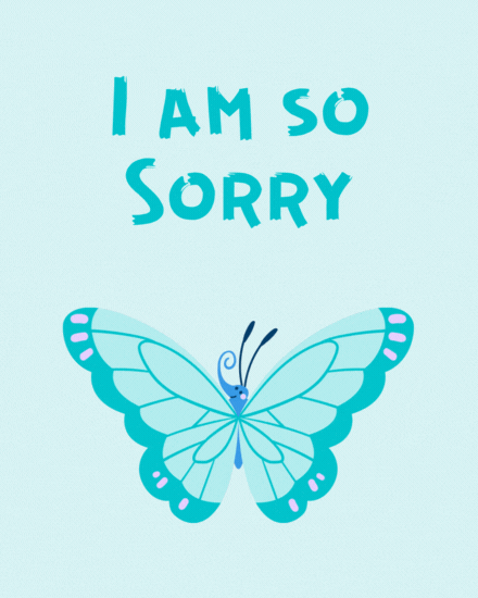 Butter-fly  cover image