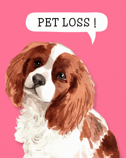 pet loss