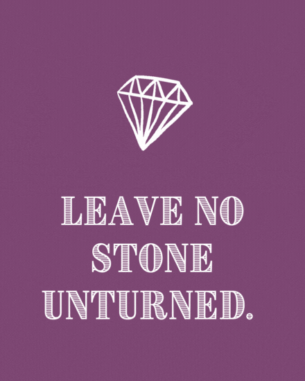 Leave no Stone cover image
