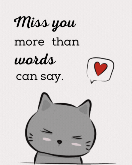 miss you cover image