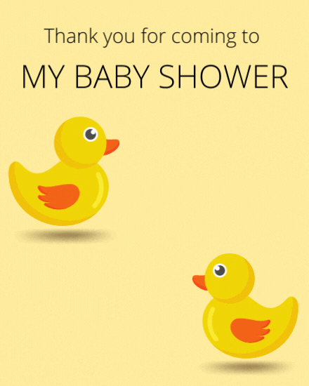 my ducks cover image