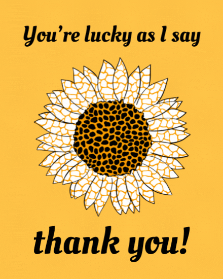 you are lucky cover image