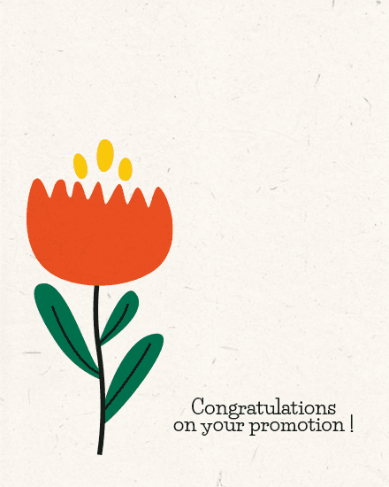 floral congrats floral congrats