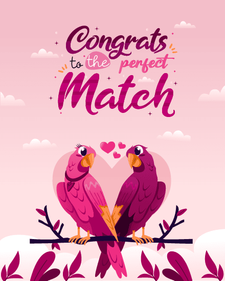 Amazing Parrots Amazing Parrots