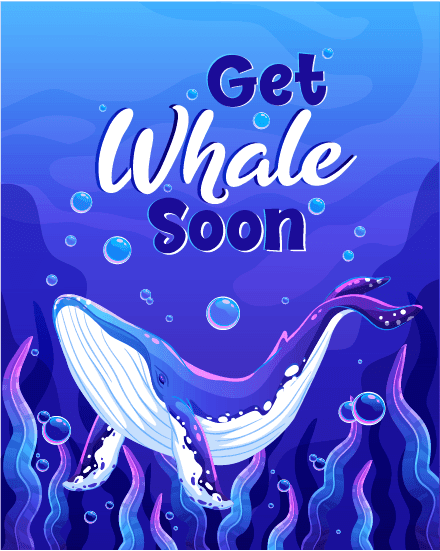 Whale Whale