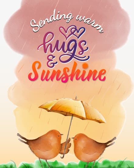 Love Birds Love Birds