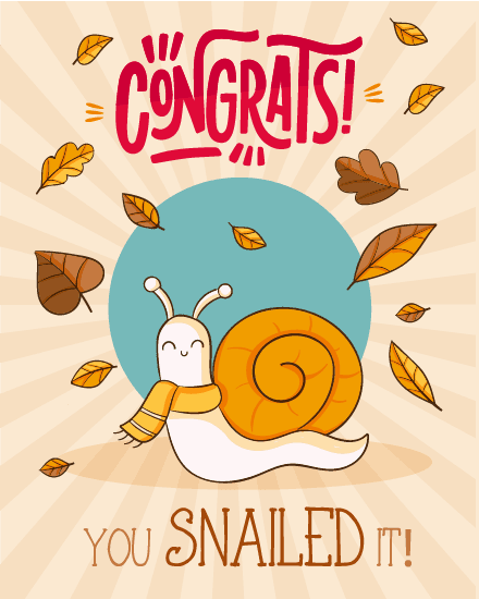 snail leaves snail leaves