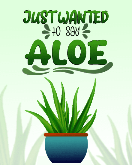 Aloe Aloe