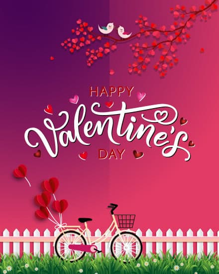 love birds love birds