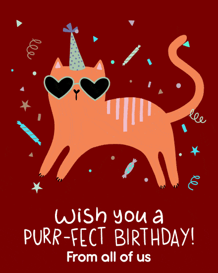 cat wearing sunglasses cover image