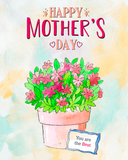 mom you are the best mom you are the best