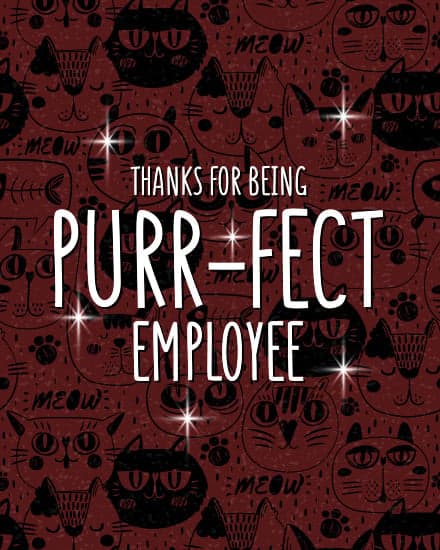 Purr-fect Employee Purr-fect Employee